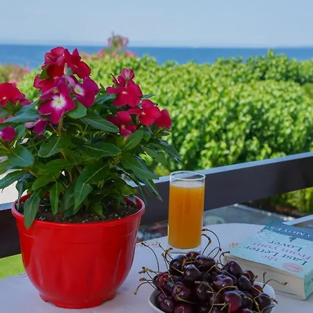 Akrogiali Gasthof Amarynthos