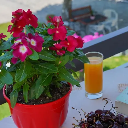 Akrogiali Guest house