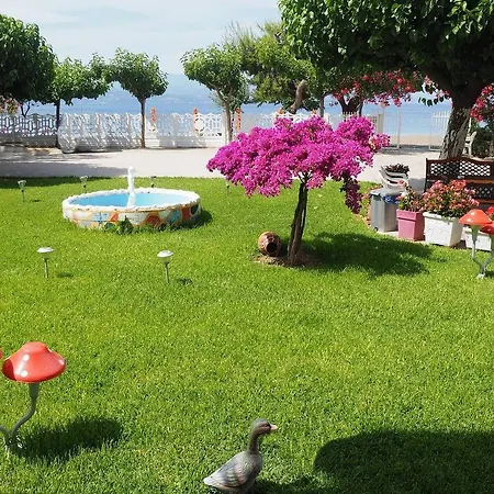 Akrogiali 2*