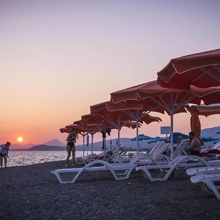 Guest house Akrogiali 3*