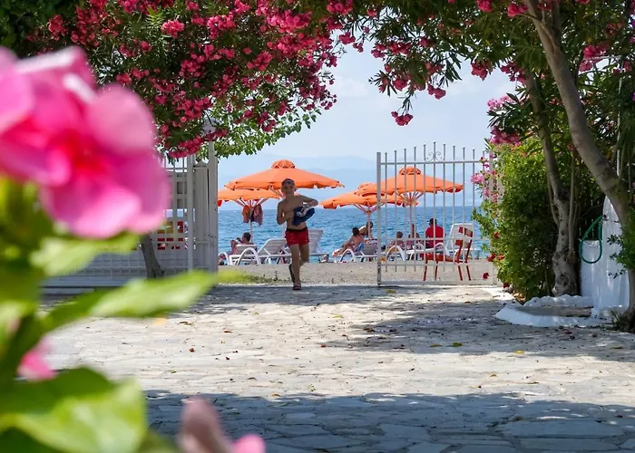 Πανσιόν Akrogiali